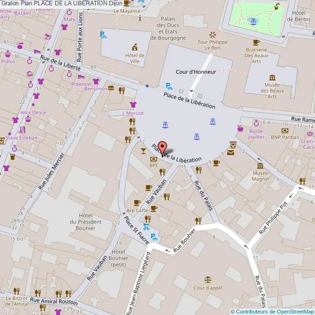 Carte place de la Libération Dijon 