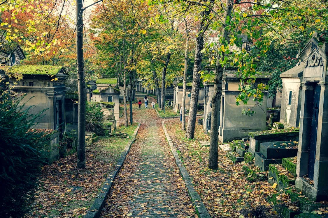Une image contenant plein air, arbre, plante, cimetière

Description générée automatiquement
