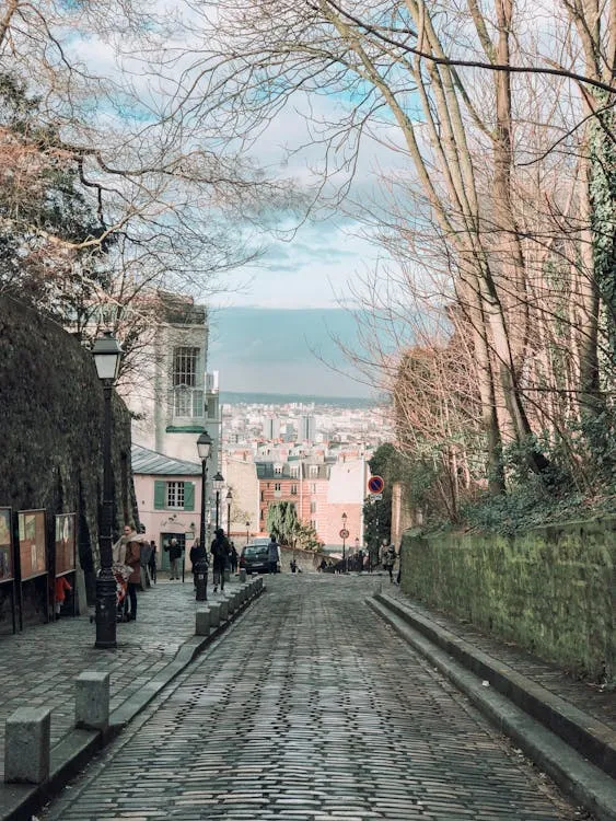 Gratuit Photo De Gens Dans La Rue Près Des Arbres Photos