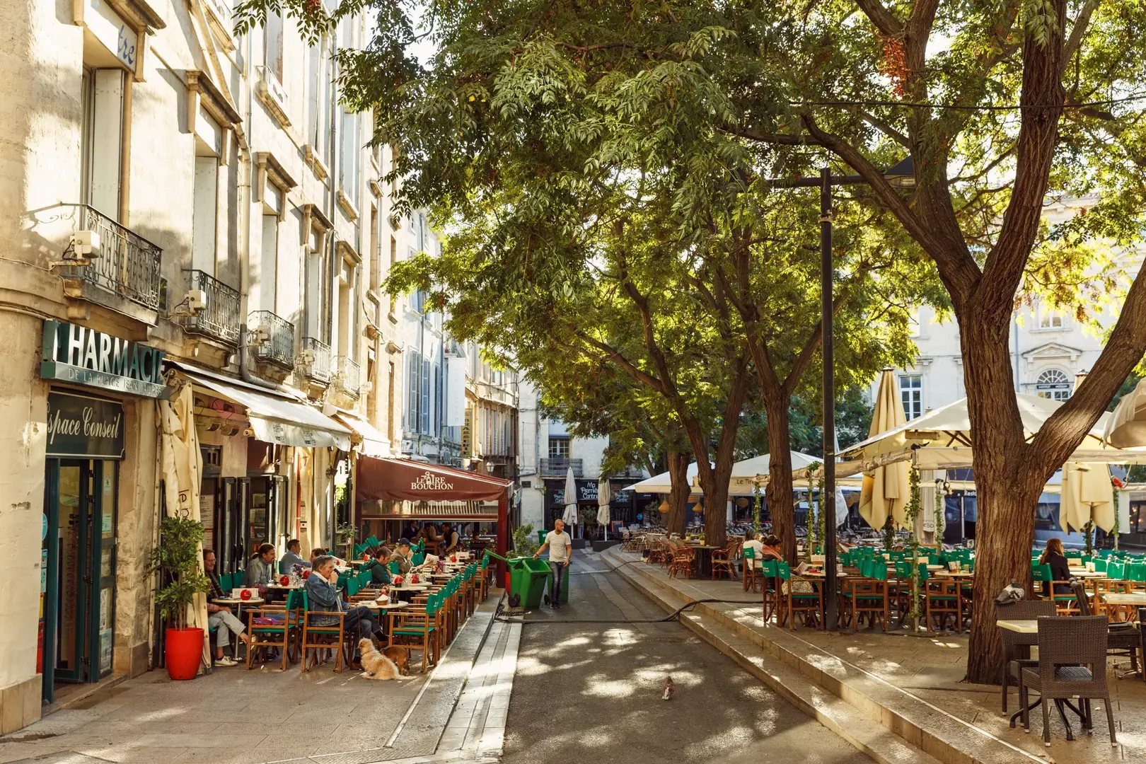 Investir dans le quartier Hôpitaux-Facultés à Montpellier terrasses, bar quartier Hôpitaux, Facultés Montpellier