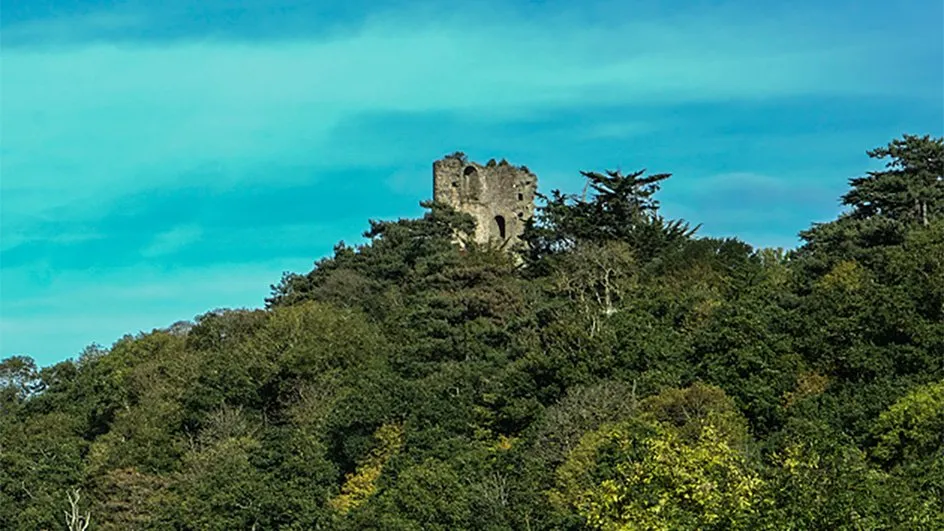 Coline ruine Cesson Saint Brieuc