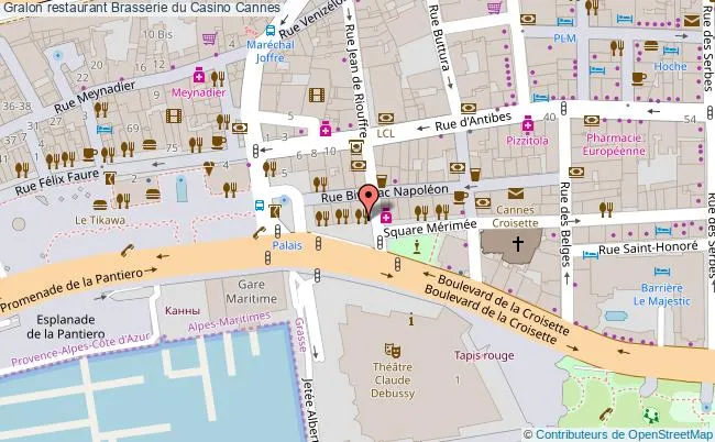 Carte rues piètonnes du centre ville de Cannes 