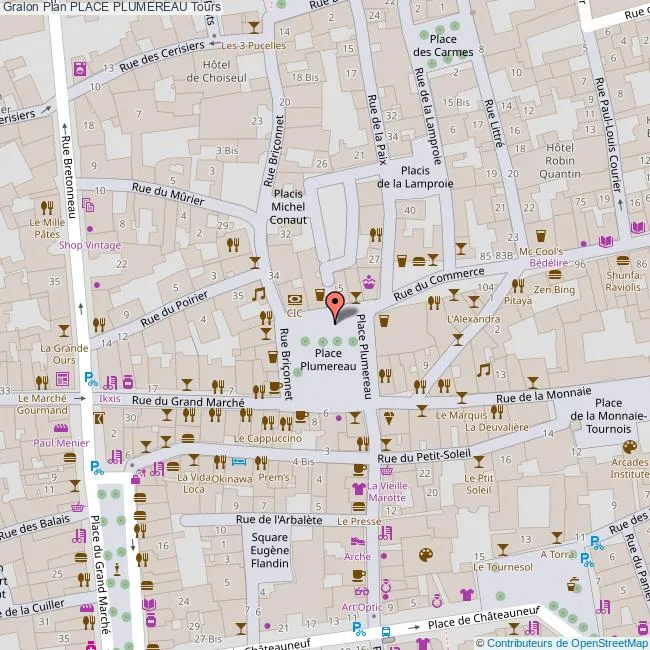 Investir dans le quartier du Vieux-Tours à Tours Carte place Plumereau Tours