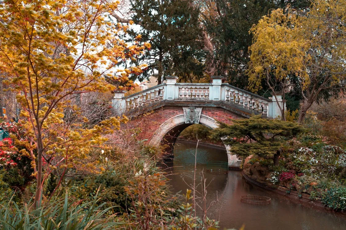 Gratuit Photos gratuites de @extérieur, arbre, architecture française Photos