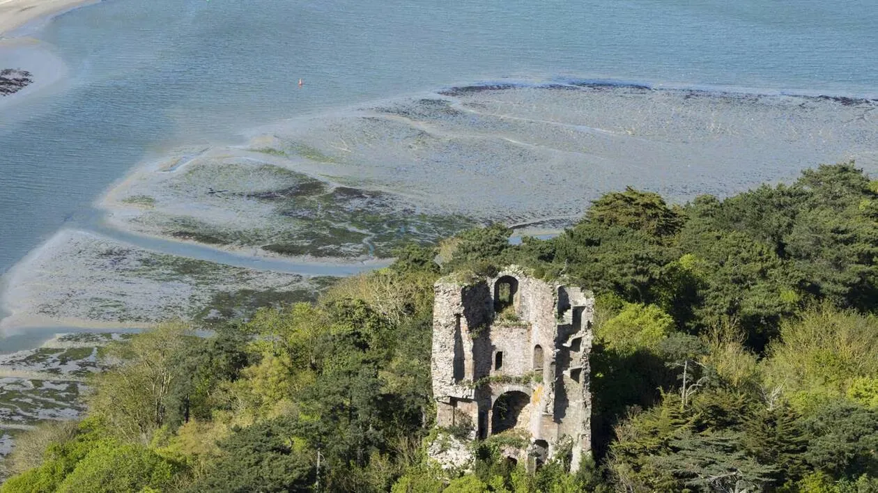 Investir dans le quartier de Cesson à Saint-Brieuc Vue aérienne ruine Cesson Saint Brieuc