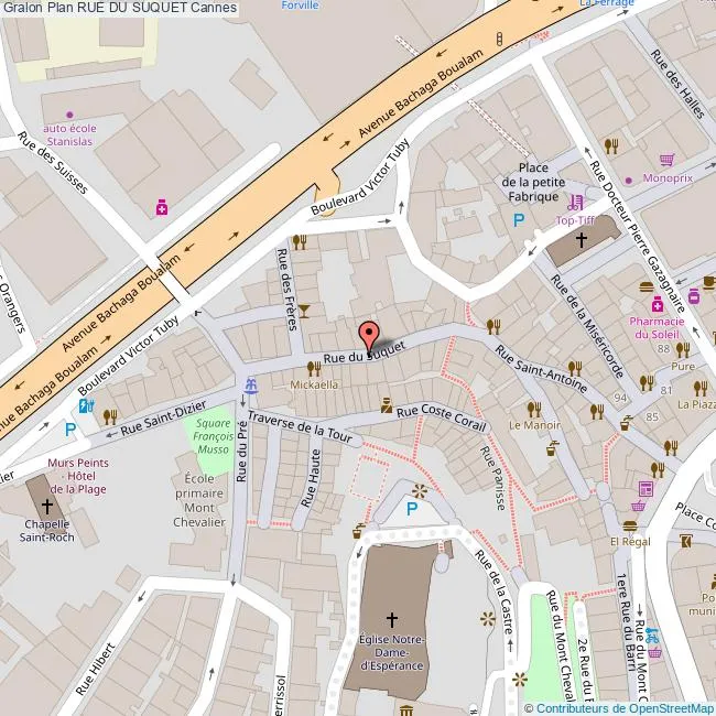 Carte Rue du Suquet Cannes 