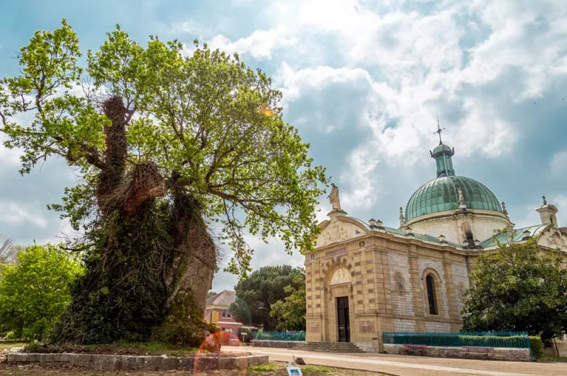 Investir dans le quartier Saint-Vincent à Dax Eglise Saint Vincent Dax