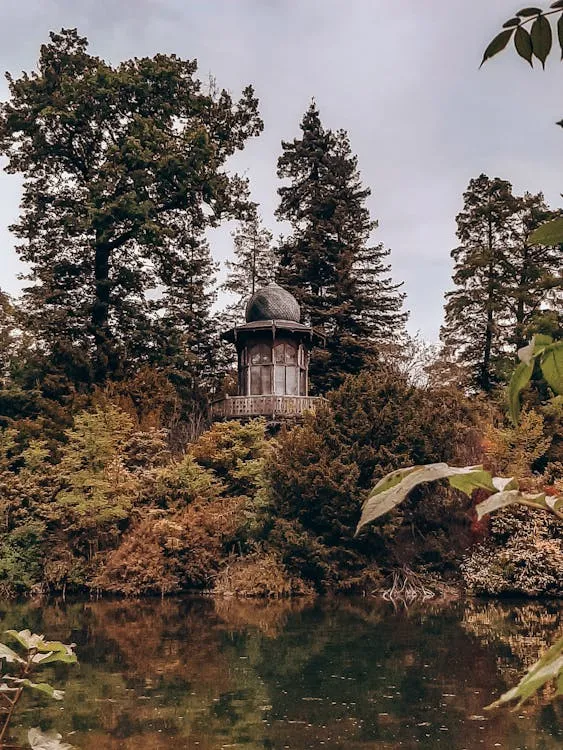 Gratuit Photos gratuites de arbres, architectural, automne Photos