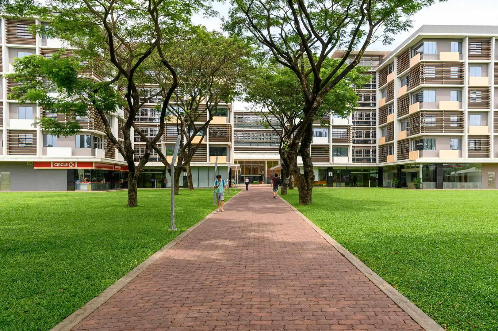 Le marché immobilier étudiant : évolutions et opportunités