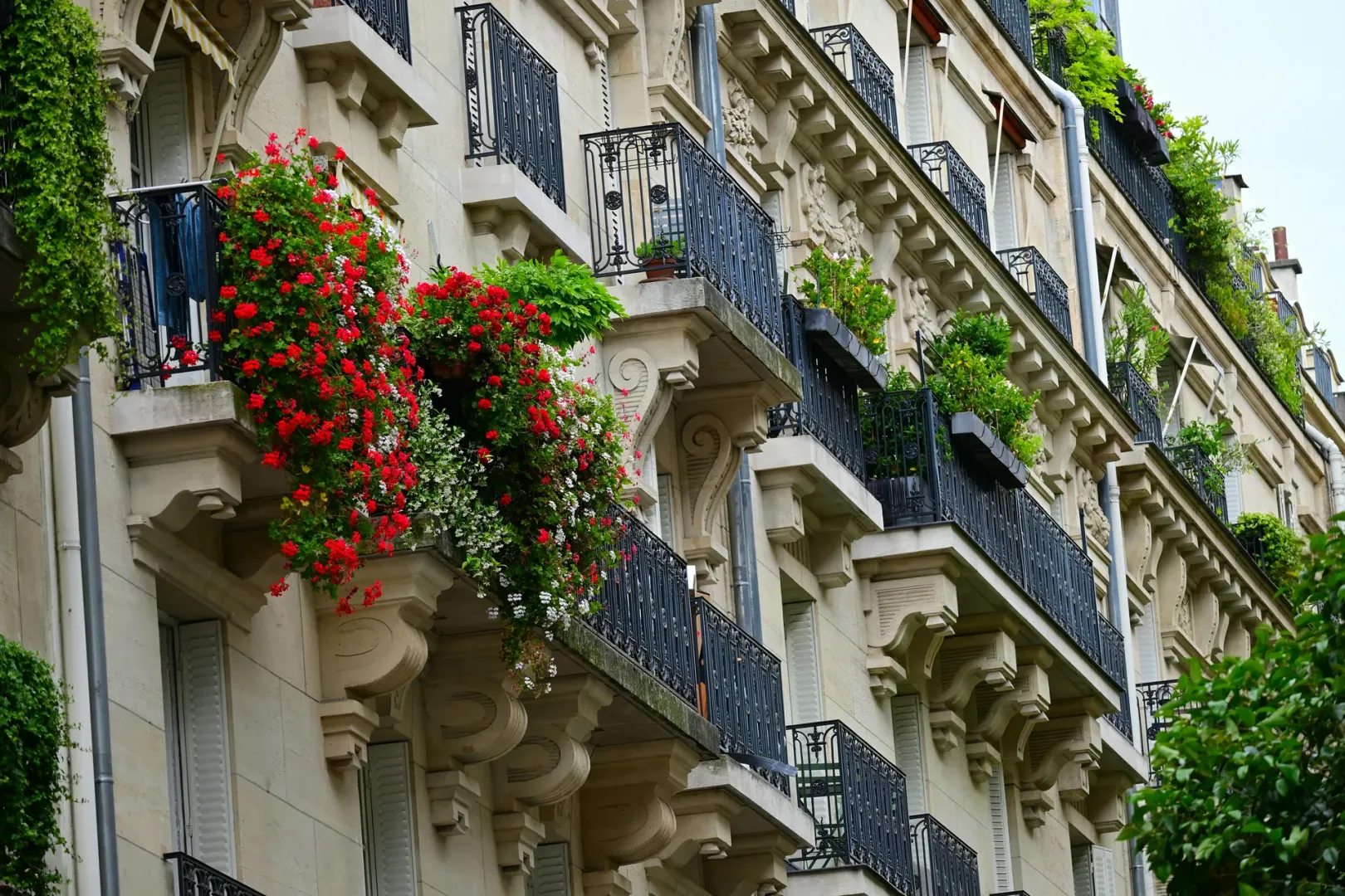 Trop de meublés touristiques à Montpellier ? La Métropole limite leur nombre