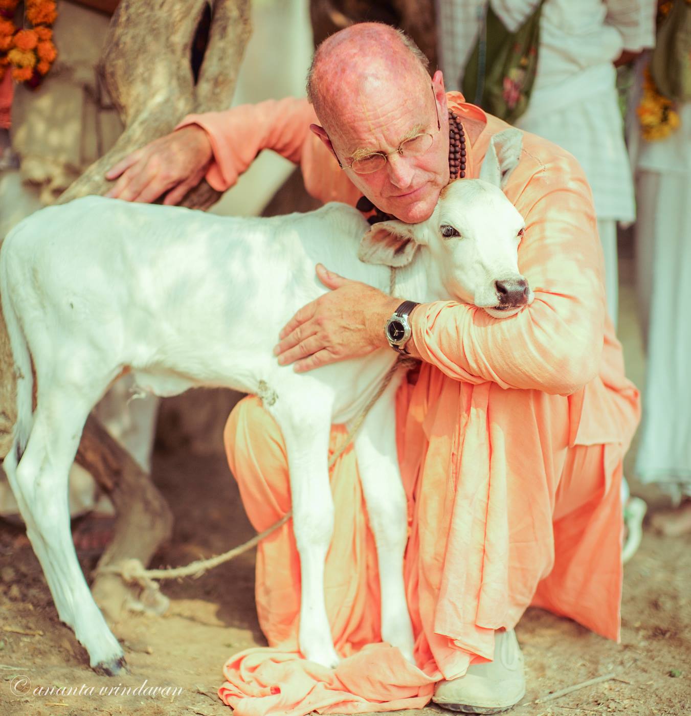 Indradyumna Swami's Heart - articles describing encounters and experiences with Indradyumna Swami