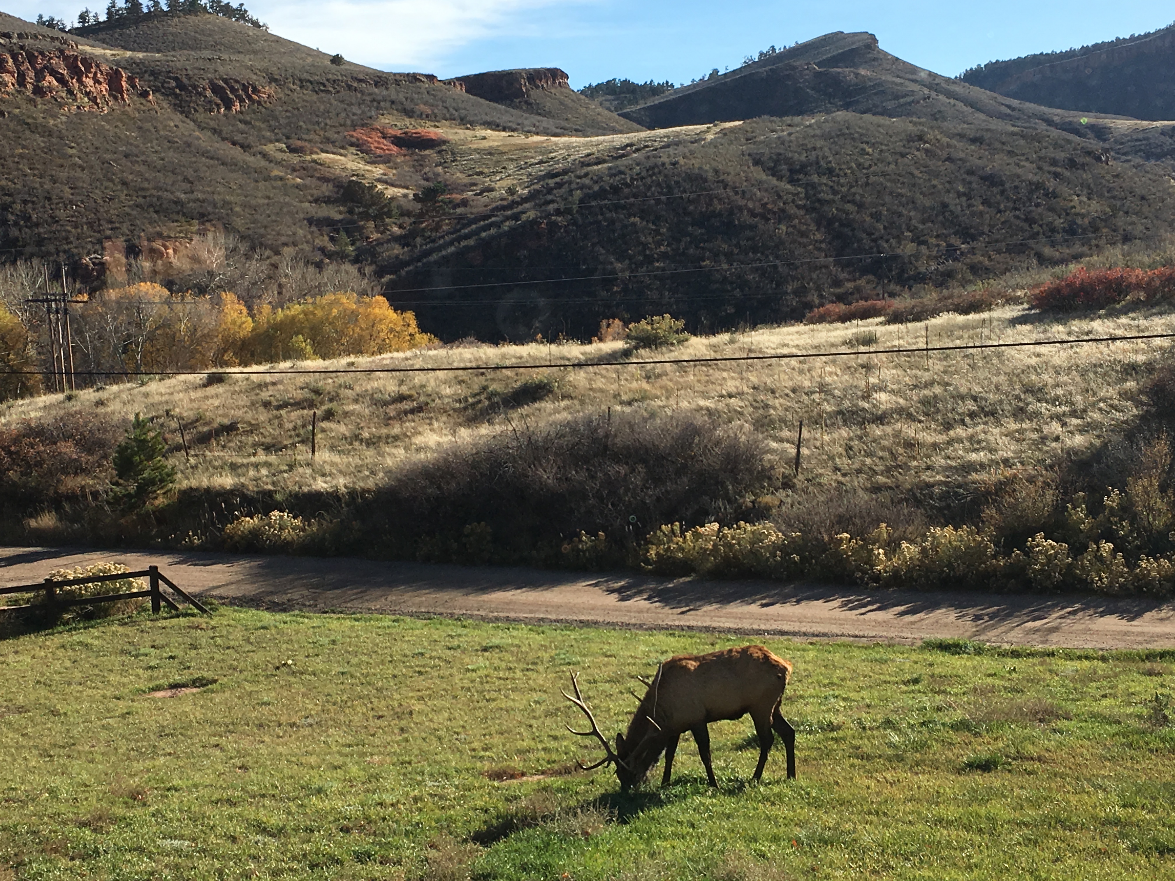 Home Selling Consultation Boulder CO