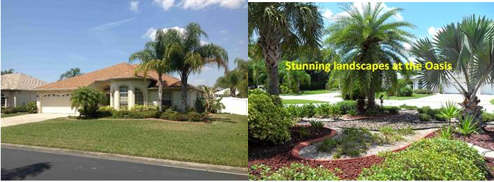 oasis nudist sunshine fl living shovel never condos