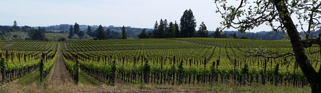 Sonoma Wine Country Real Estate Property Listings