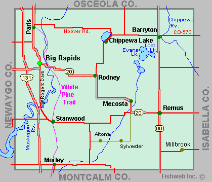 Mecosta Michigan Zip Code