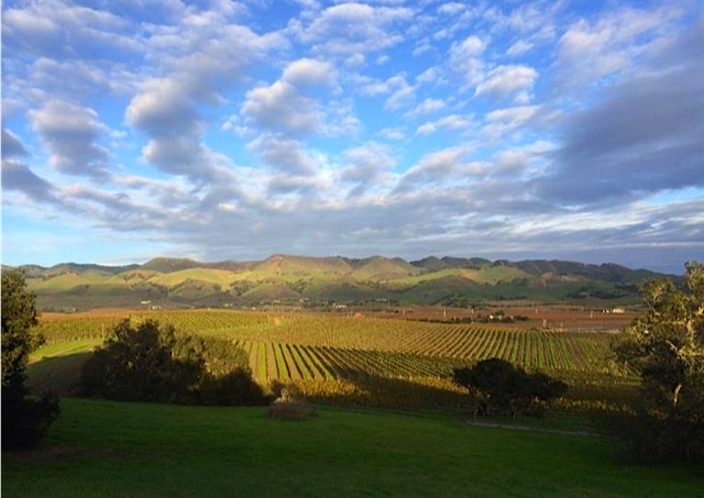 Homes in Edna Valley - San Luis Obispo Wine Country