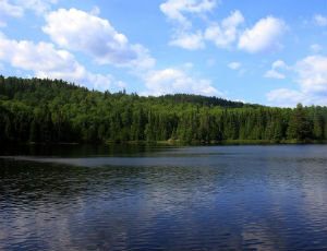 spectacle lake mn