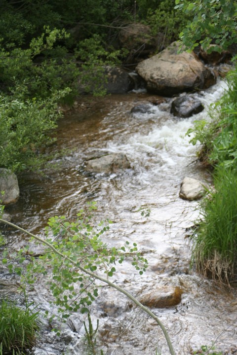 Burgess Creek