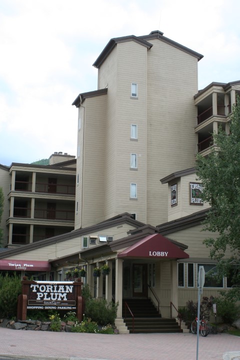 Image of Torian Plum condos