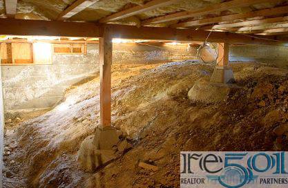 How to Get Rid of Mold in Your Home: Crawl Space Solutions and UV Light