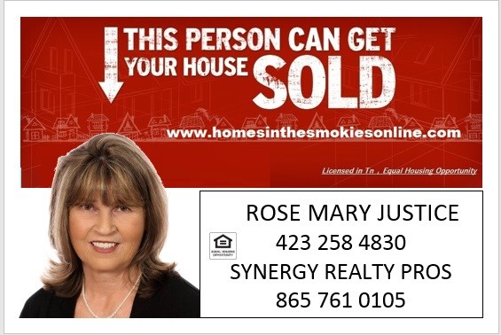 Rose M Justce at Synergy Realty Pros