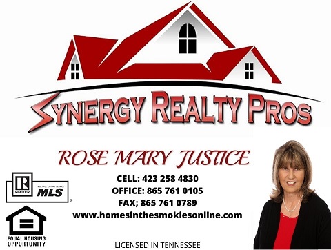 synergy realty pros - Rose M Justice Agent