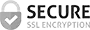 Secure website checkmark icon