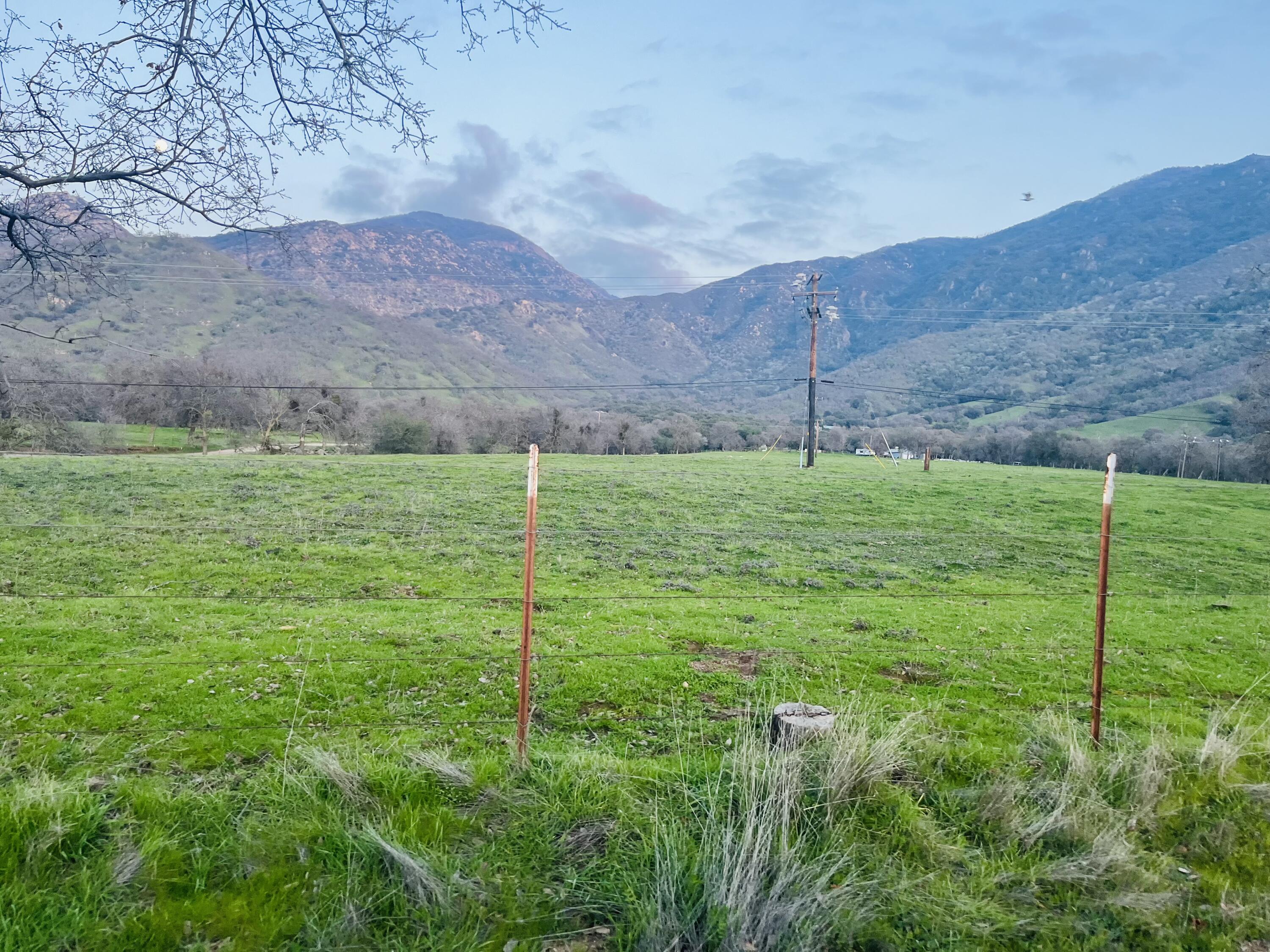 Cow Mountain Road