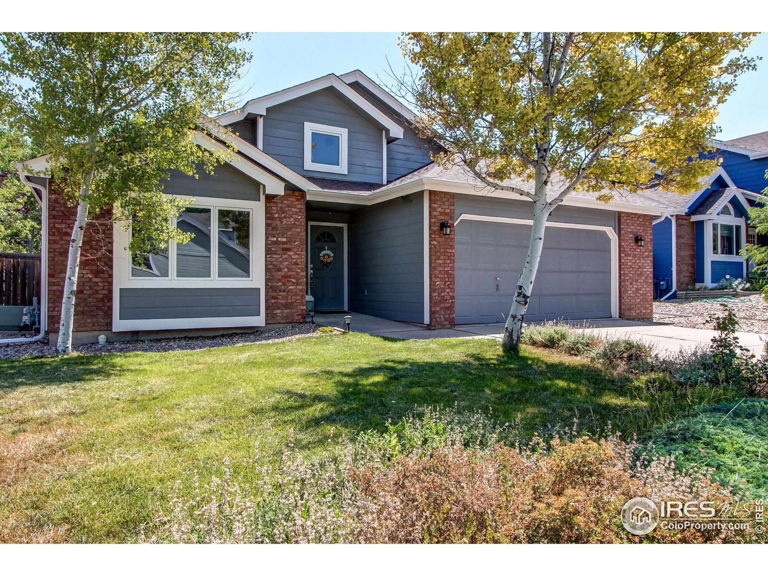 Buy A Home Process Longmont CO