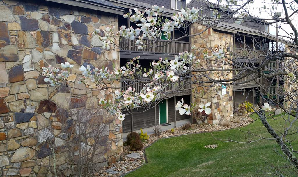 Condos for Sale in Gatlinburg, TN