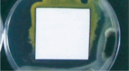 水性有機塗料