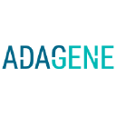 Adagene Inc - ADR stock logo