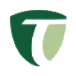 Trean Insurance Group Inc logo