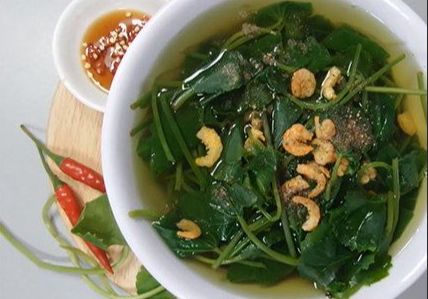 Top 15 cơ hội nấu nướng canh rau xanh thầy thuốc với mắm ruốc 2022 tongdaifpt.com.vn