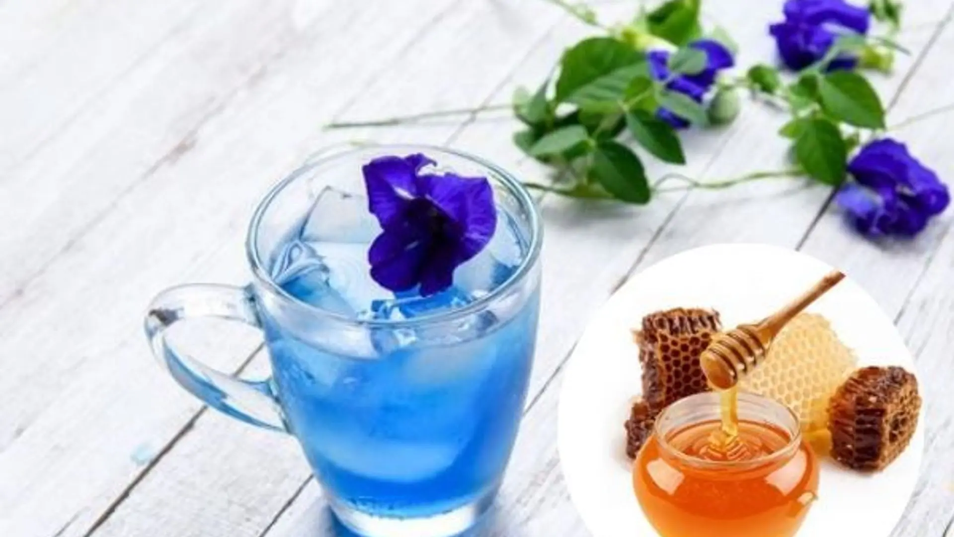 Cách Làm Trà Hoa Đậu Biếc Mật Ong