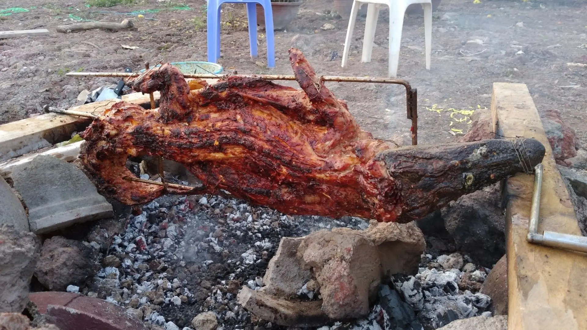 Nên chọn loại cá sấu nào khi làm món nướng này?