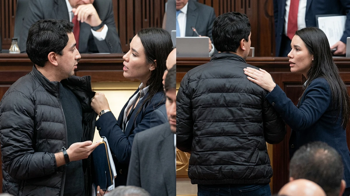 Representante por el Pacto Histórico, Luz Verónica Estrada, investigada por Comisión de Ética por sujetar la chaqueta de Daniel Briceño. Sería un ataque físico.