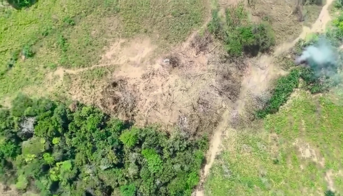 Bombardeo en el Catatumbo: Fuerzas Militares atacan un campamento del Frente 33 de las disidencias de alias Calarcá
