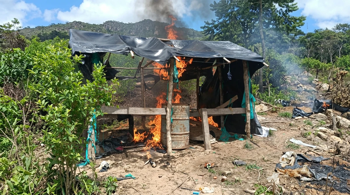 Ejército destruye tres laboratorios de coca del Clan del Golfo en Amalfi y golpea sus finanzas en el Nordeste antioqueño