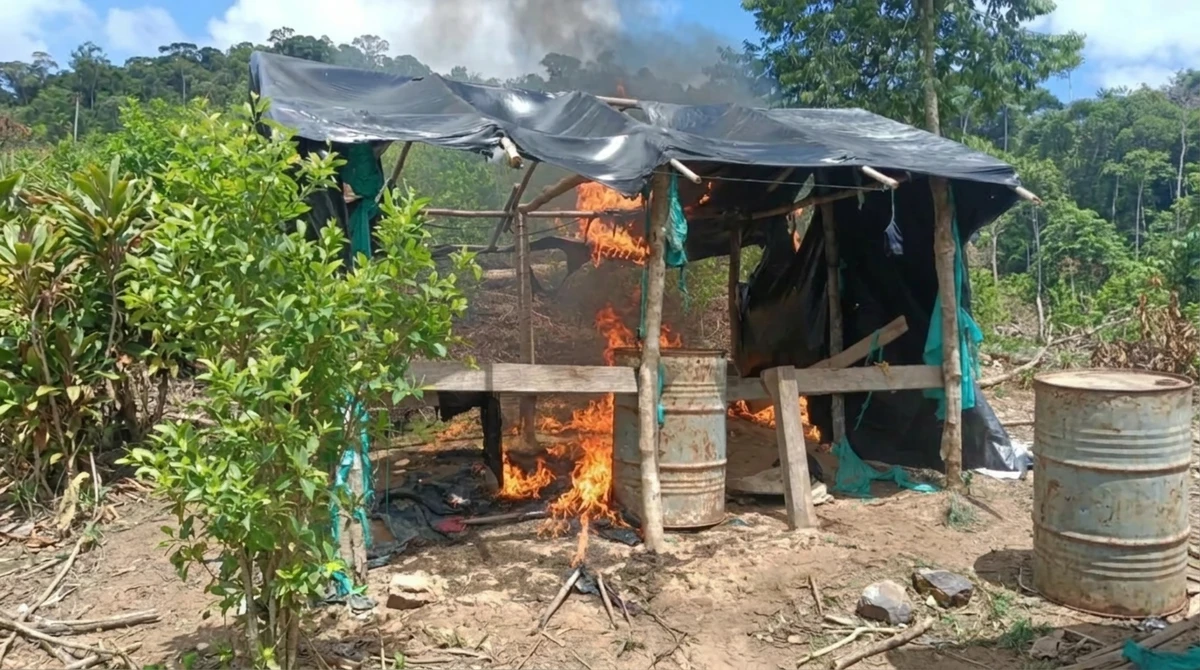 Laboratorios destruidos, maquinaria minera inutilizada y media tonelada de marihuana: la ofensiva de la Fuerza Pública contra las finanzas ilegales en Antioquia