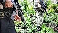 San José del Guaviare está en alerta por combates armados