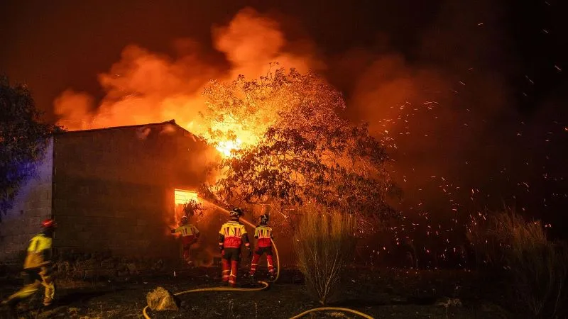 Incendios en el Tolima: la sombra de la criminalidad y una emergencia sin precedentes