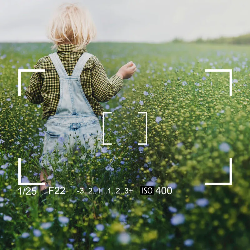 Guía práctica para la fotografía: tips para captar una buena imagen
