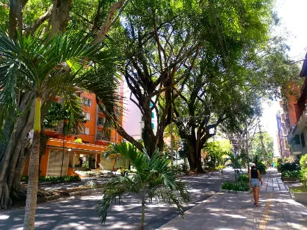 (ESPECIAL) Laureles frente a su transformación. Vecinos y comerciantes buscan soluciones ante los cambios urbanos del barrio
