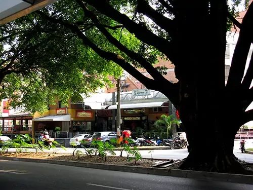 (ESPECIAL) Laureles frente a su transformación. Vecinos y comerciantes buscan soluciones ante los cambios urbanos del barrio