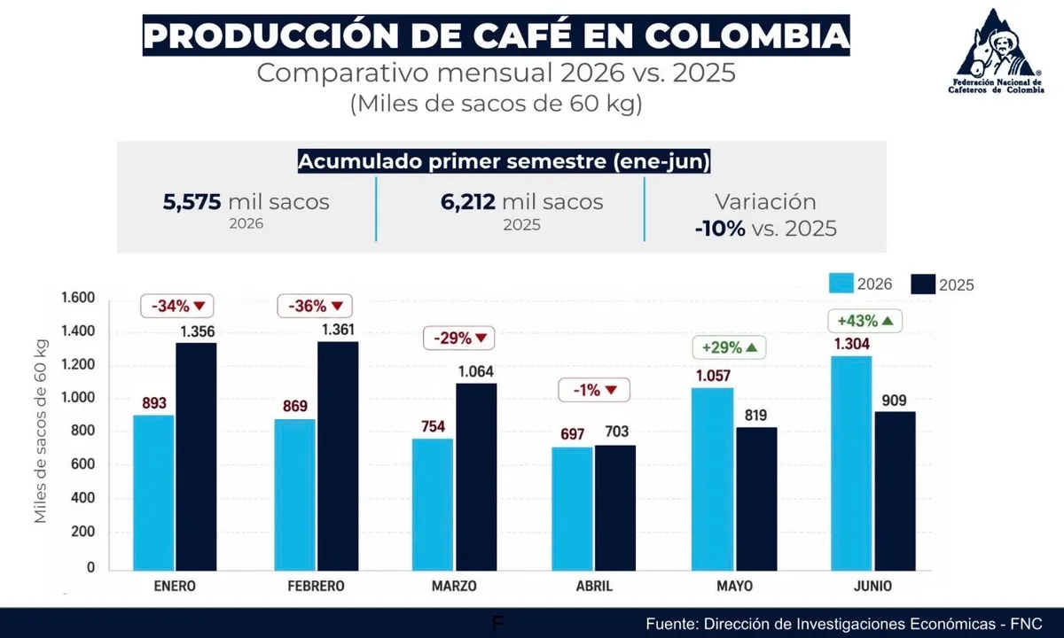 Producción de café repuntó 43% en junio, pero cafeteros mantienen preocupación por la revaluación del peso