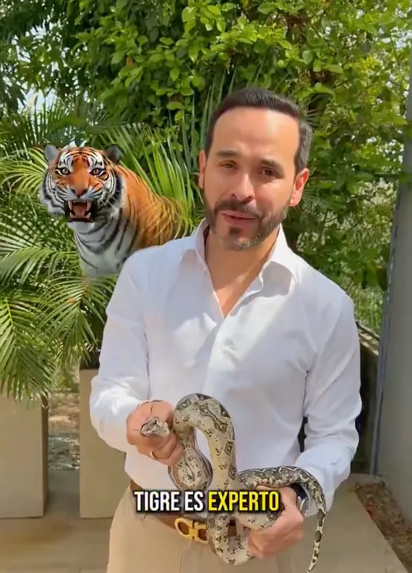 "El tigre es experto en culebras": Abelardo de la Espriella publica video simbólico sobre los desafíos que enfrentará Colombia