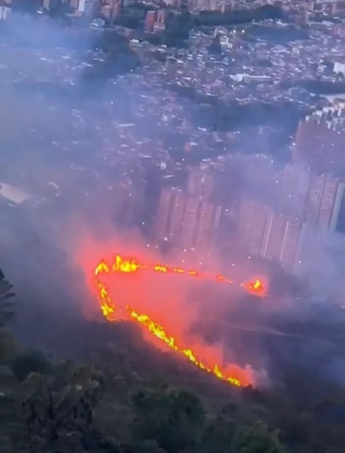 Incendios forestales azotan medellín: emergencia en rodeo alto y cerro de las tres cruces esta noche 