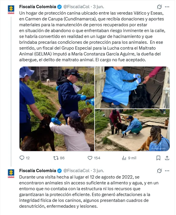 Fiscalía imputó a administradora de refugio donde hallaron más de 300 perros en condiciones de abandono