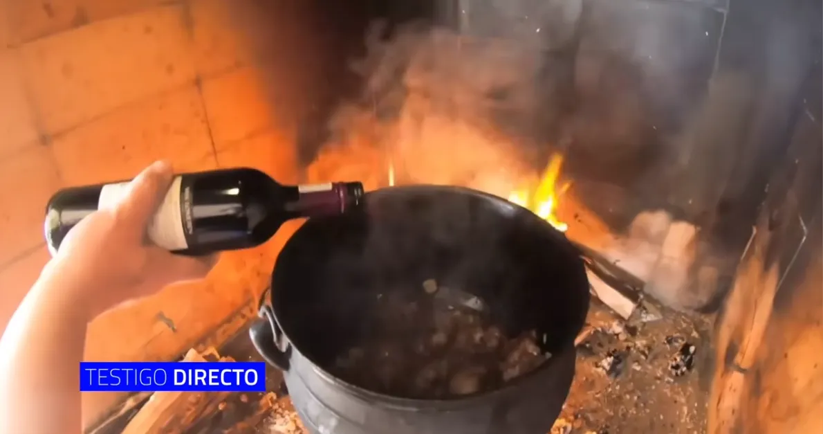 (ANÁLISIS) ¿Sacrificar o aprovechar? El debate que abre la crisis de los hipopótamos en Colombia